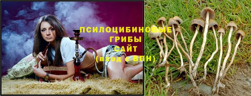 Галлюциногенные грибы ЛСД  Борзя 